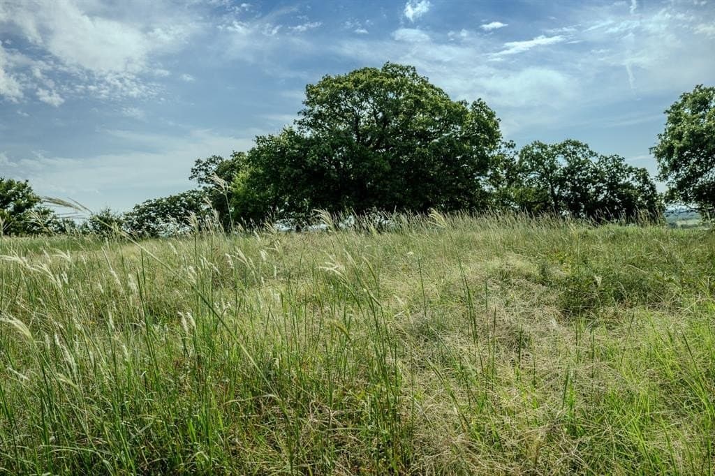 537 acres in Clay County - photo 14