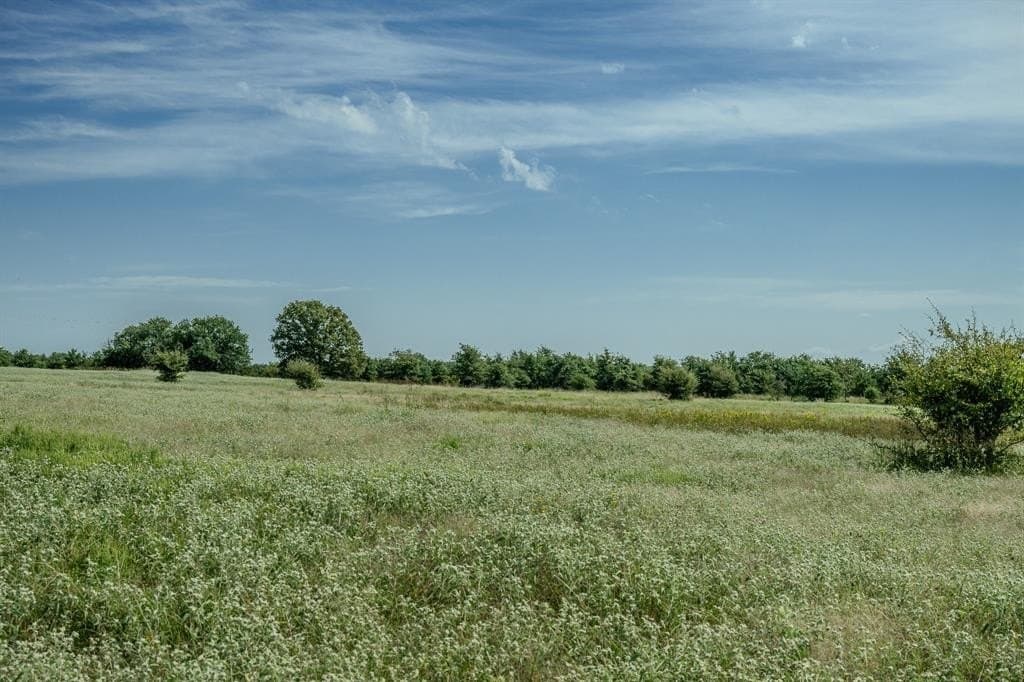 537 acres in Clay County - photo 37