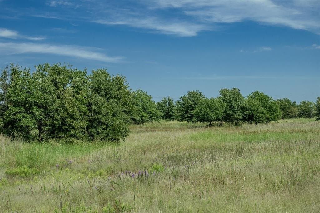 537 acres in Clay County - photo 40