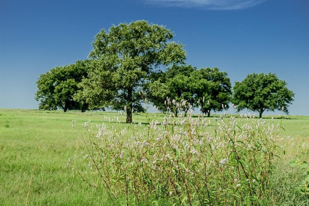537 acres in Clay County - photo 36