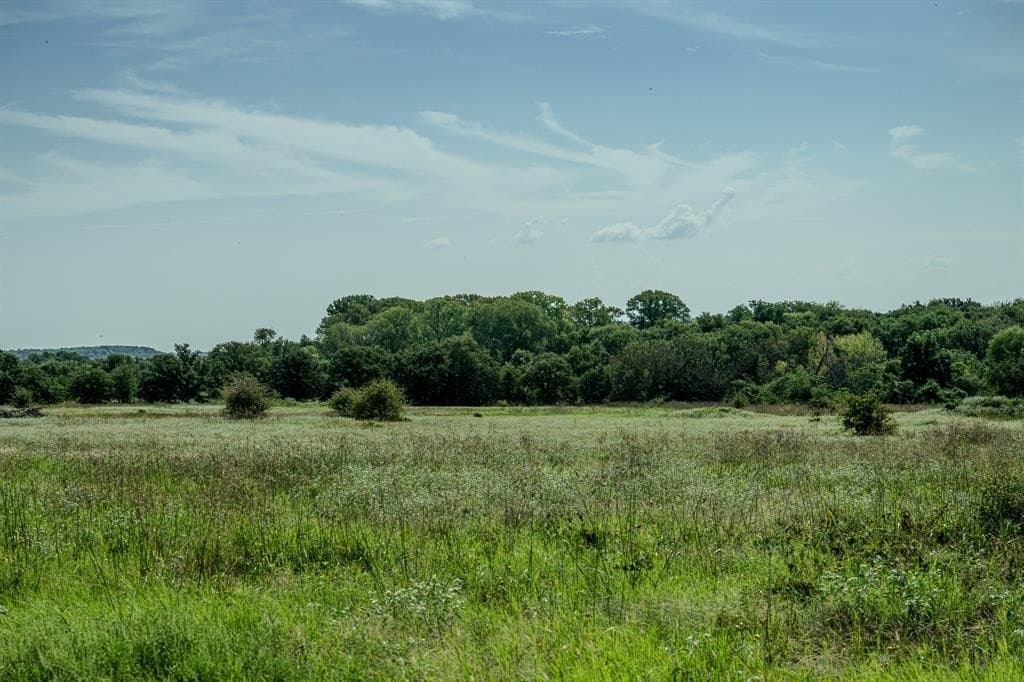 537 acres in Clay County - photo 39