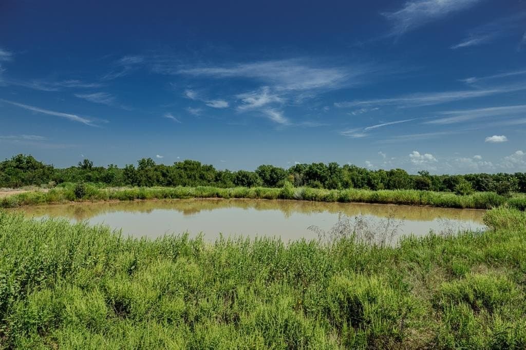 537 acres in Clay County - photo 4