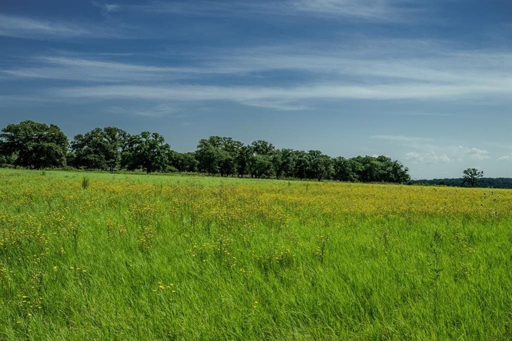 537 acres in Clay County - photo 8