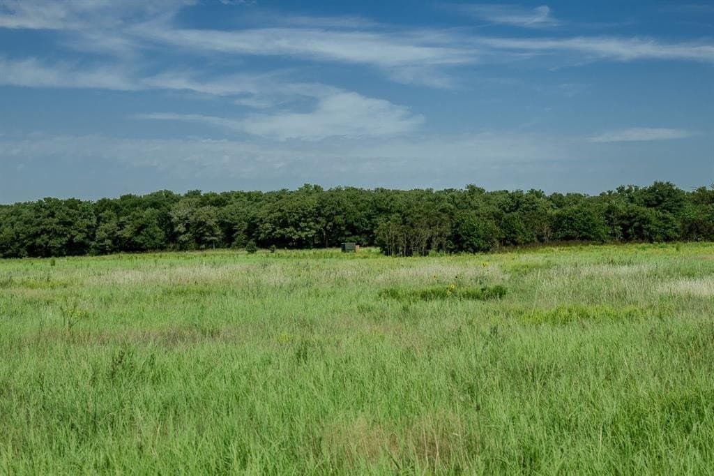 537 acres in Clay County - photo 23