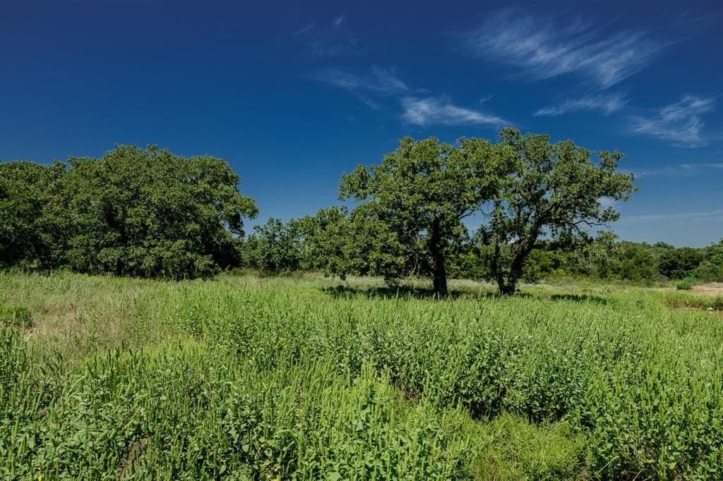 537 acres in Clay County - photo 6
