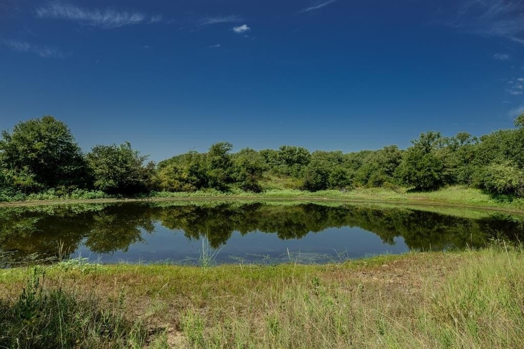 537 acres in Clay County - photo 3