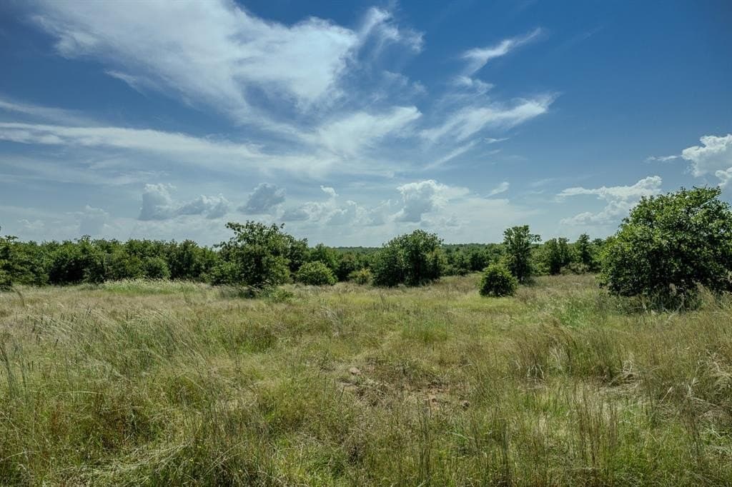 537 acres in Clay County - photo 27