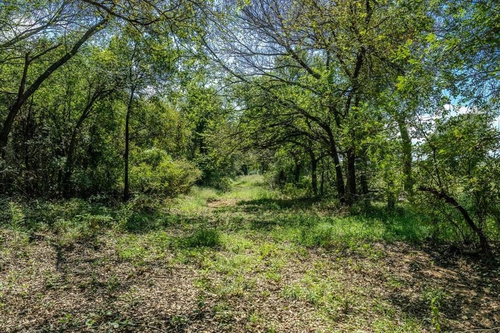 537 acres in Clay County - photo 11