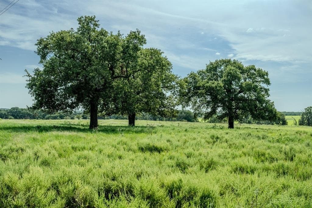 537 acres in Clay County - photo 21