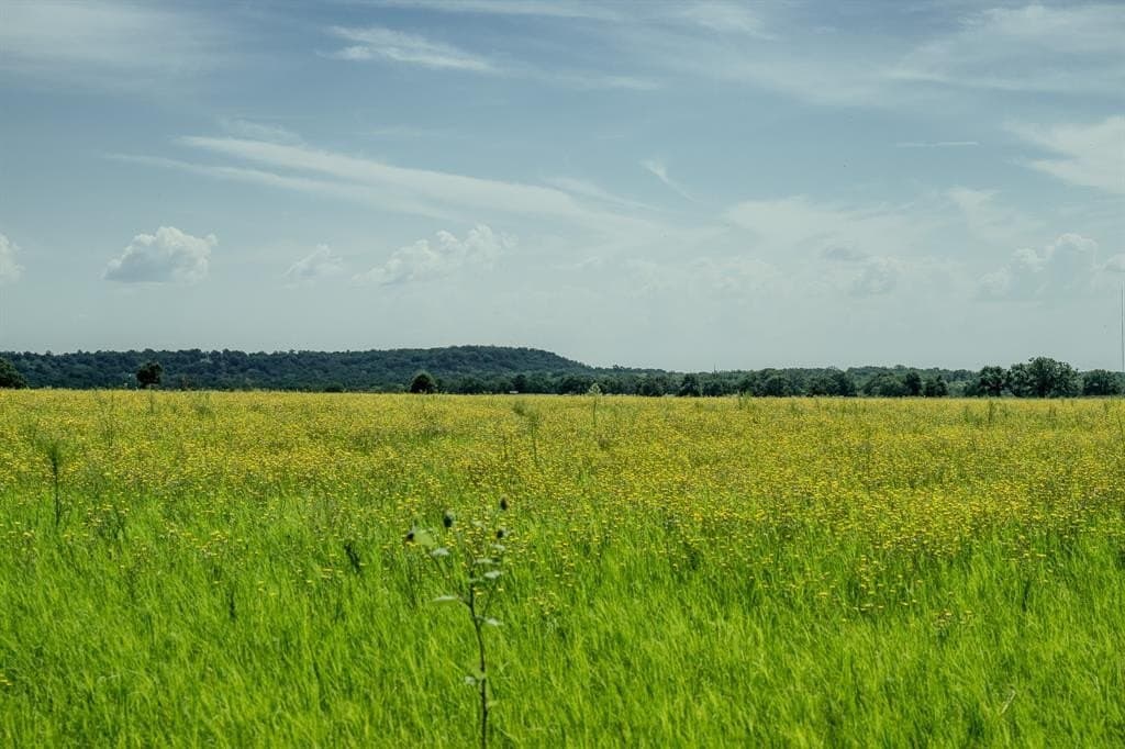 537 acres in Clay County - photo 7