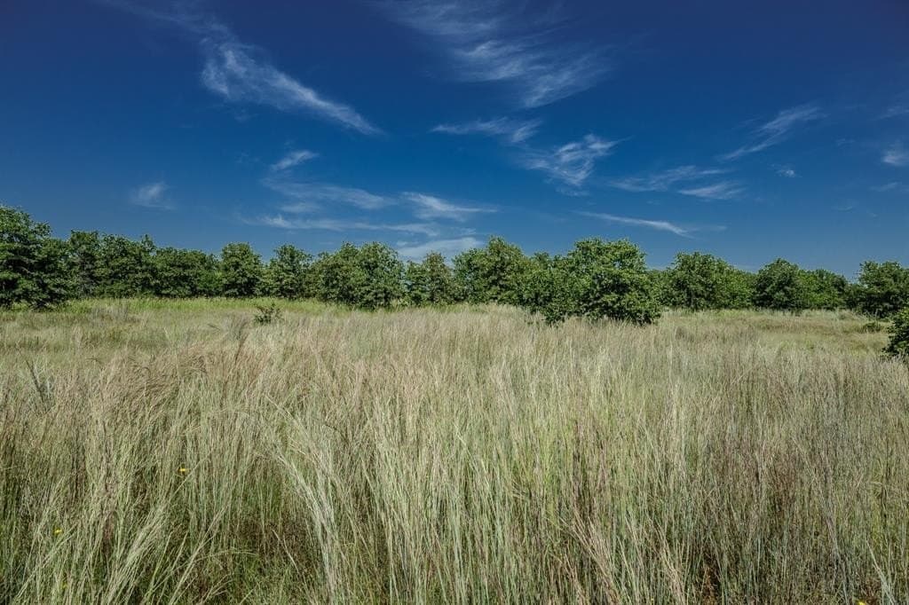 537 acres in Clay County - photo 29