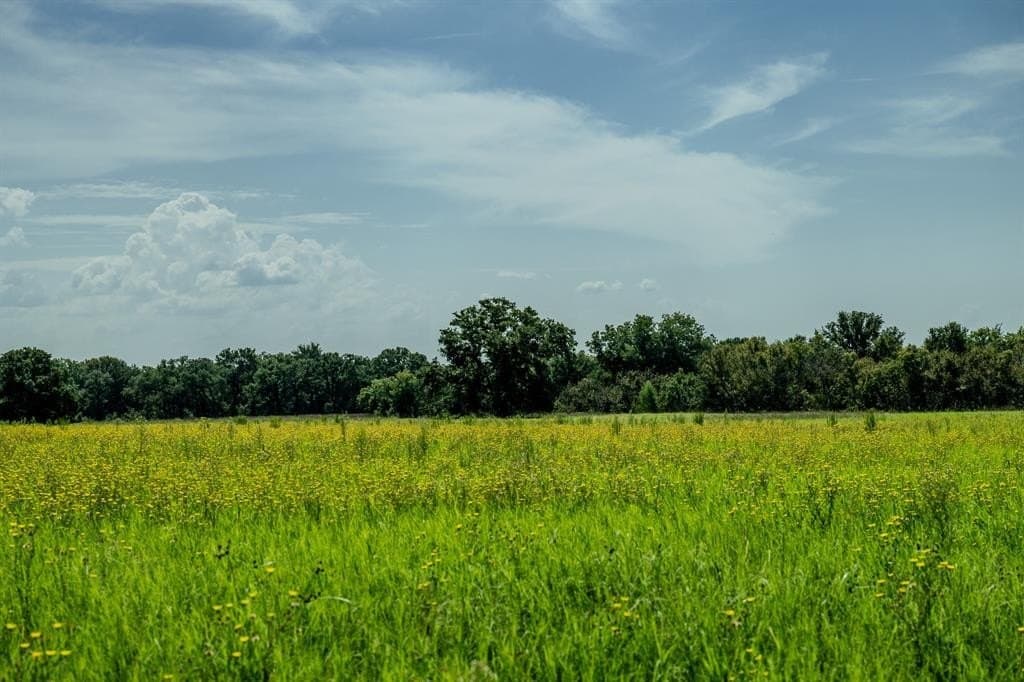 537 acres in Clay County - photo 34