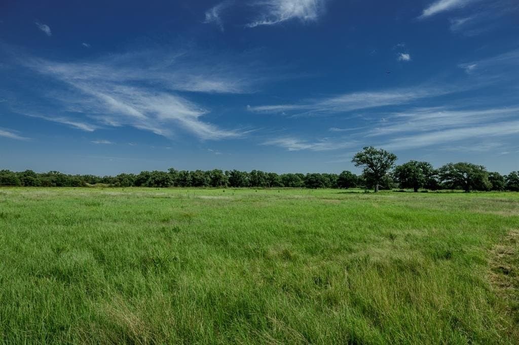537 acres in Clay County - photo 5