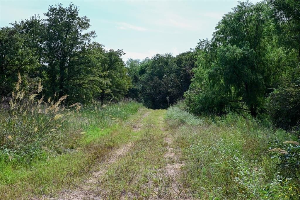 537 acres in Clay County - photo 12