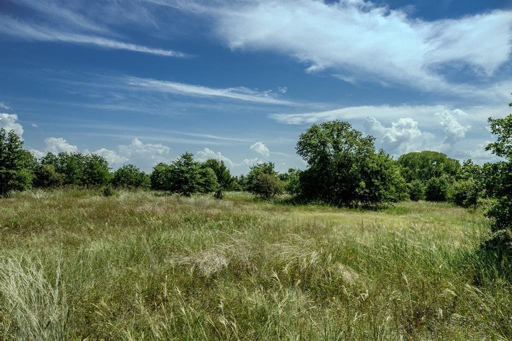 537 acres in Clay County - photo 24
