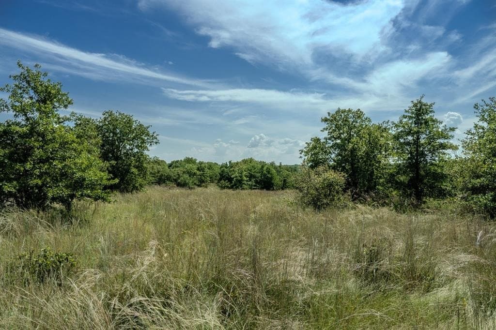 537 acres in Clay County - photo 30