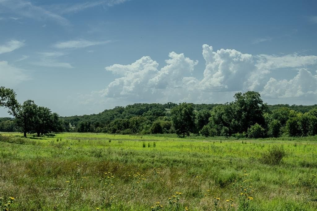 537 acres in Clay County - photo 33