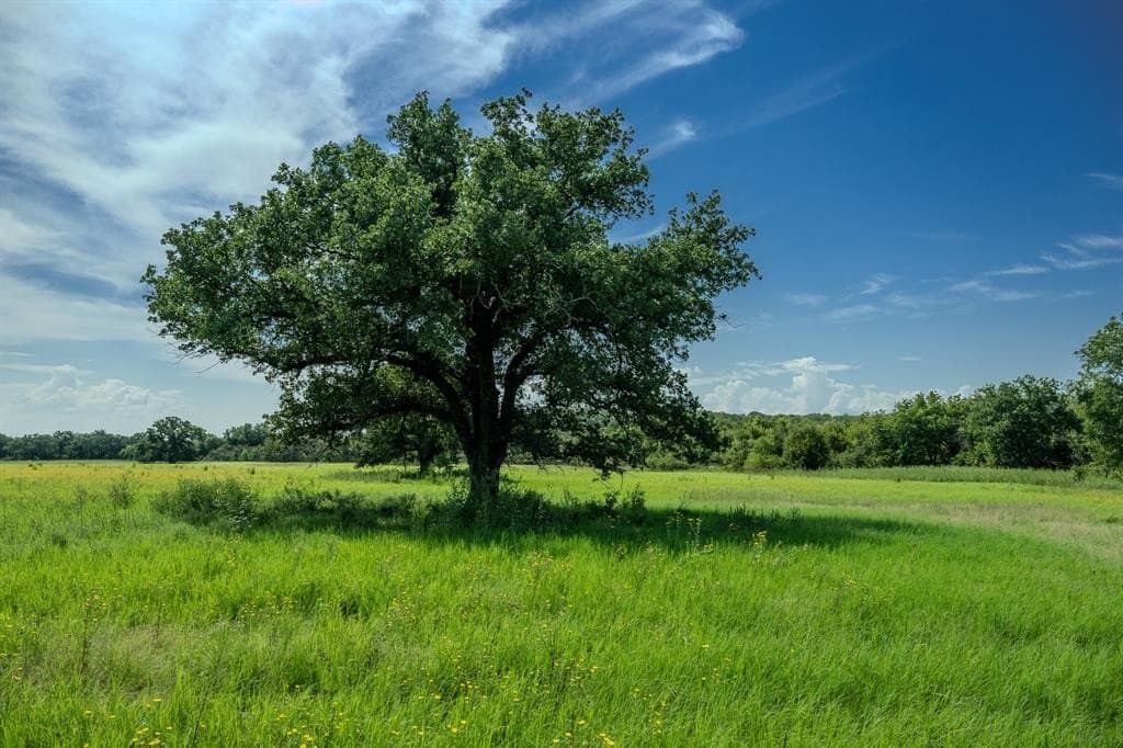 537 acres in Clay County - photo 9