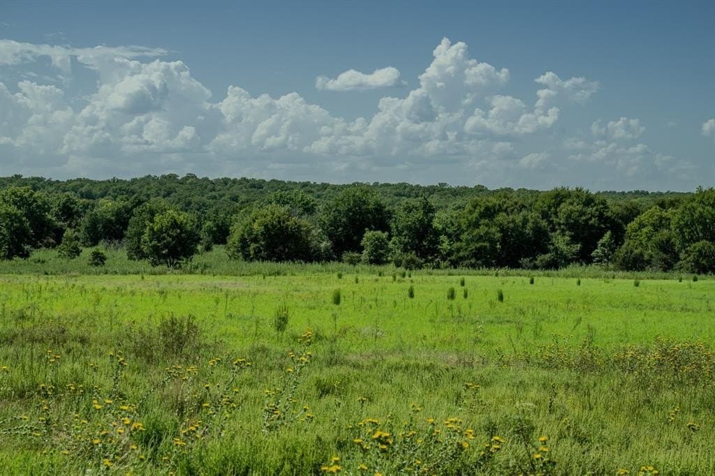 537 acres in Clay County - photo 32