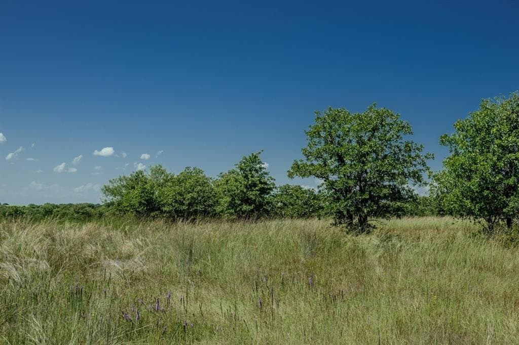 537 acres in Clay County - photo 31