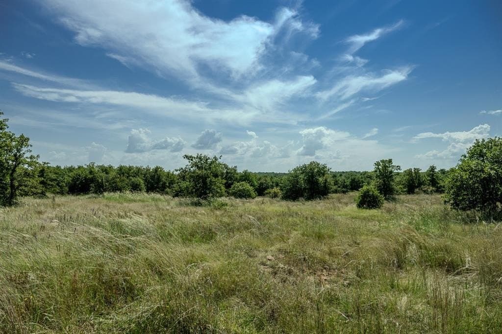 537 acres in Clay County - photo 28
