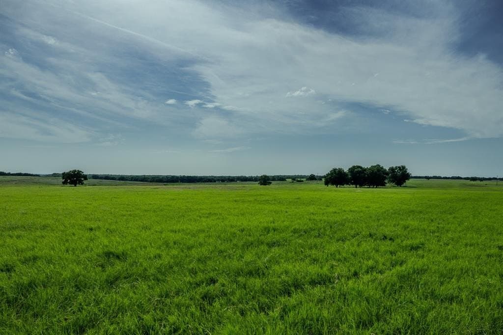 537 acres in Clay County - photo 15