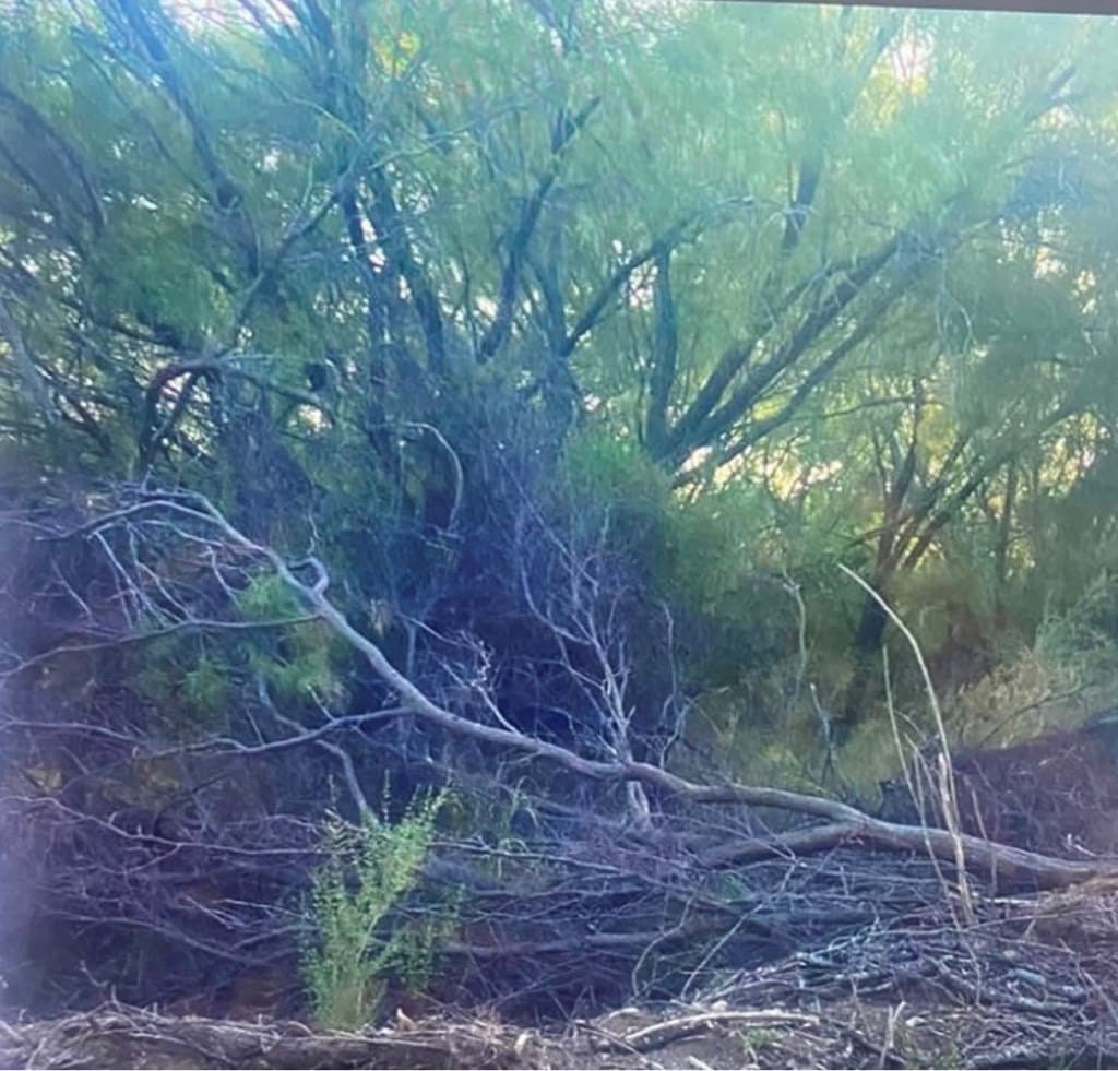 0.43 acres in Maverick County - photo 3