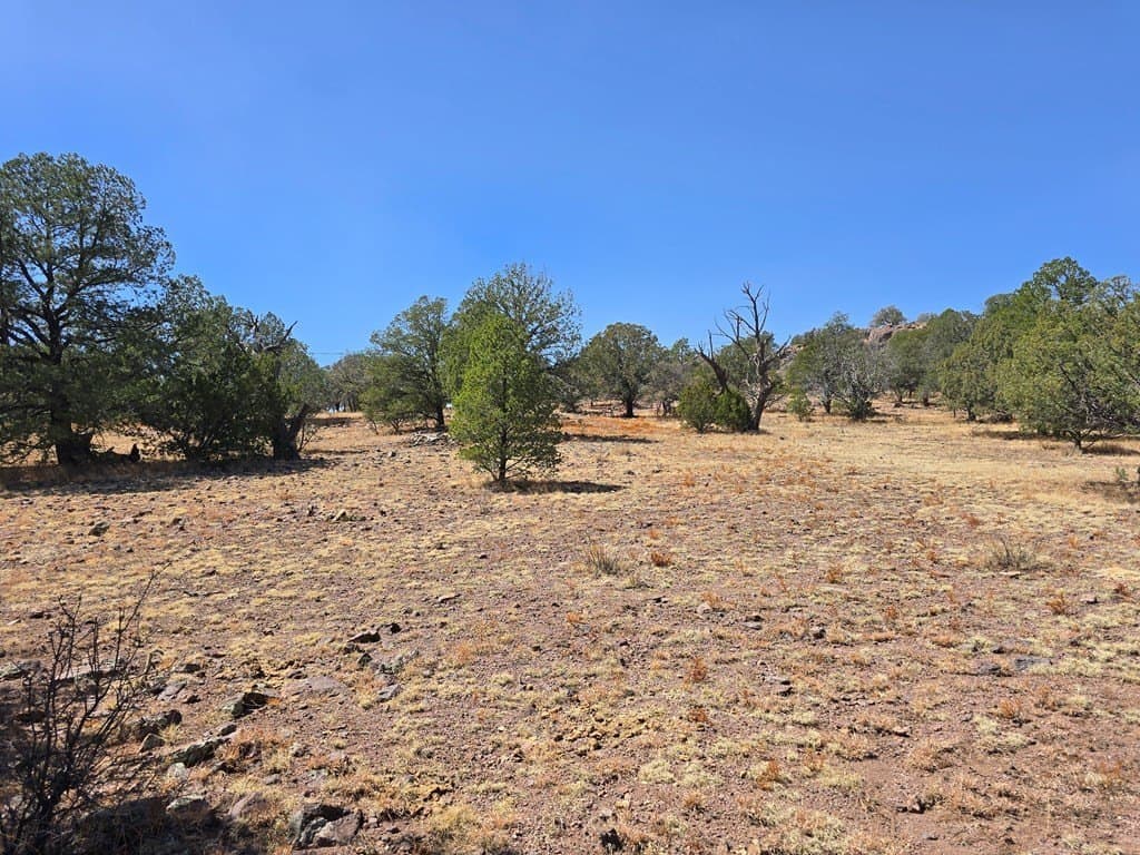 10.81 acres in Jeff Davis County - photo 3