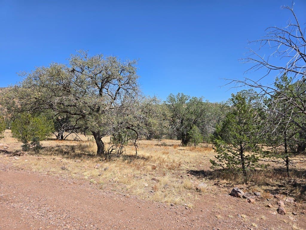 10.81 acres in Jeff Davis County - photo 7