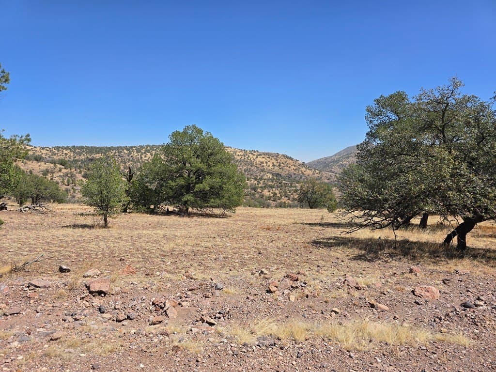 10.81 acres in Jeff Davis County - photo 2