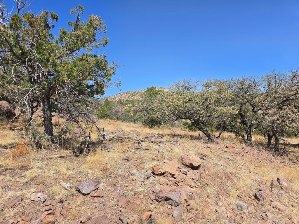 10.81 acres in Jeff Davis County - photo 12