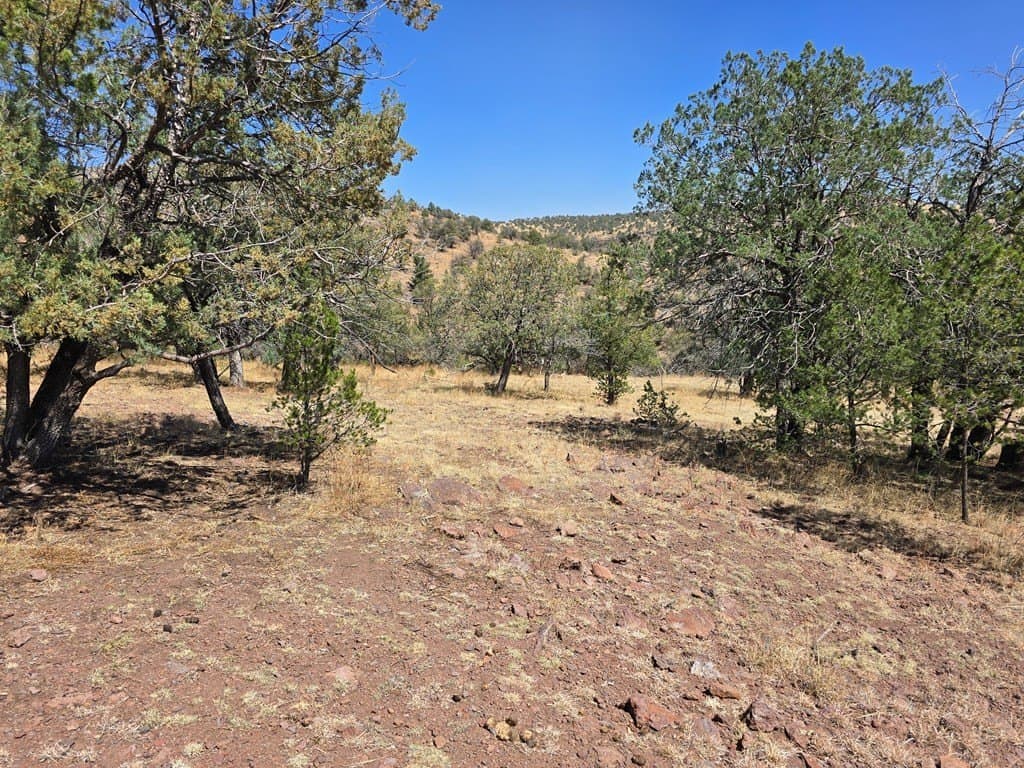 10.81 acres in Jeff Davis County - photo 10