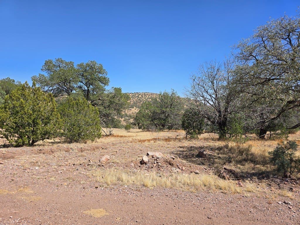 10.81 acres in Jeff Davis County - photo 5