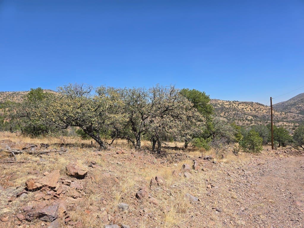 10.81 acres in Jeff Davis County - photo 8