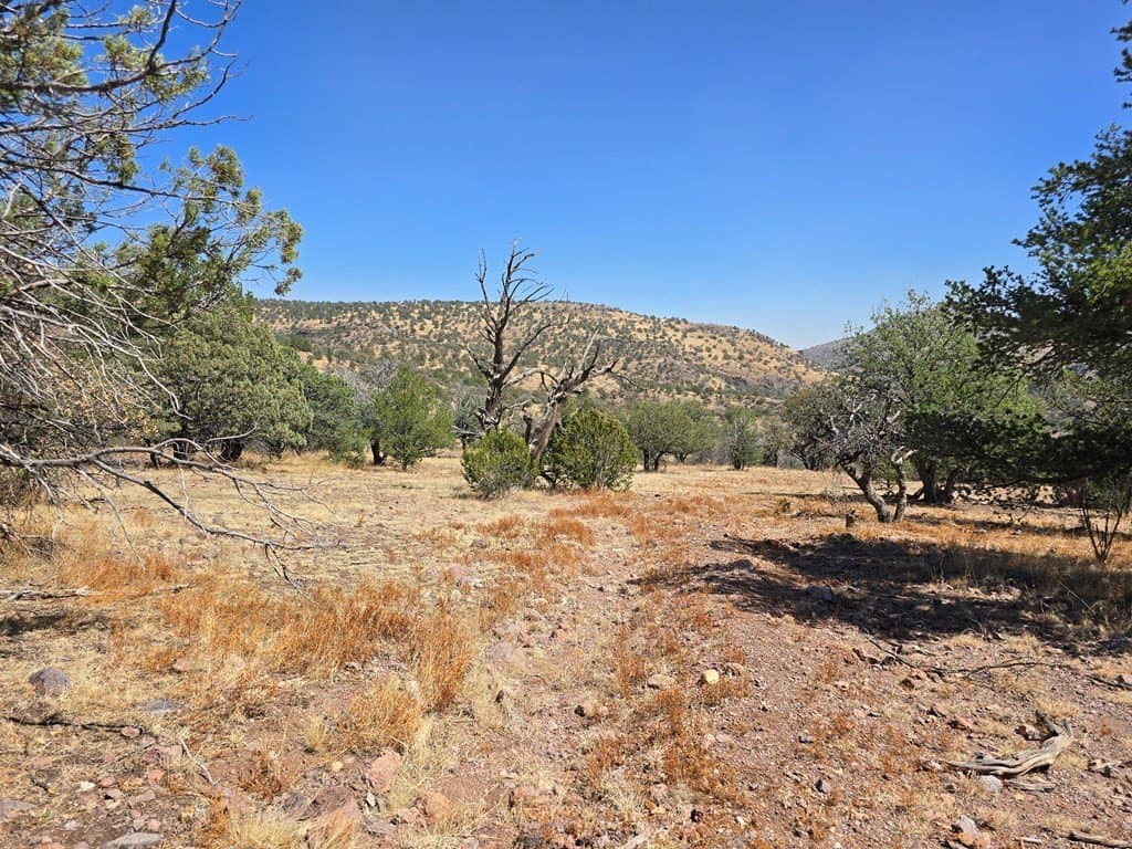 10.81 acres in Jeff Davis County - photo 11