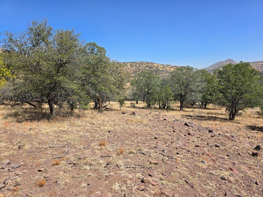 10.81 acres in Jeff Davis County - photo 9