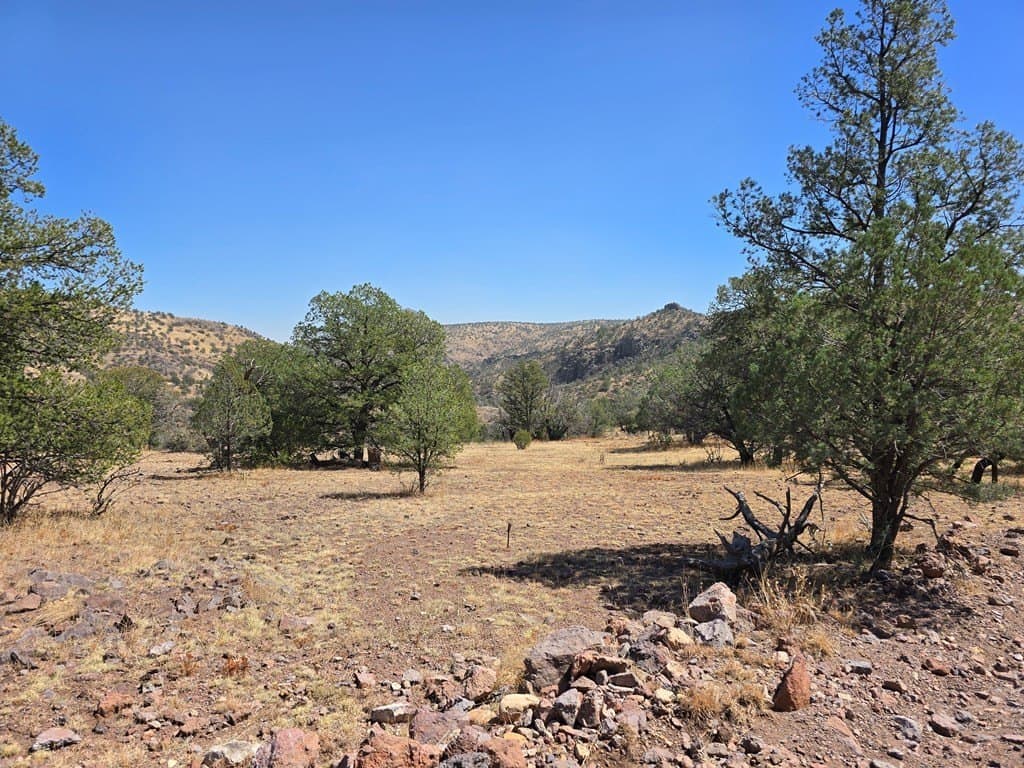 10.81 acres in Jeff Davis County - photo 6