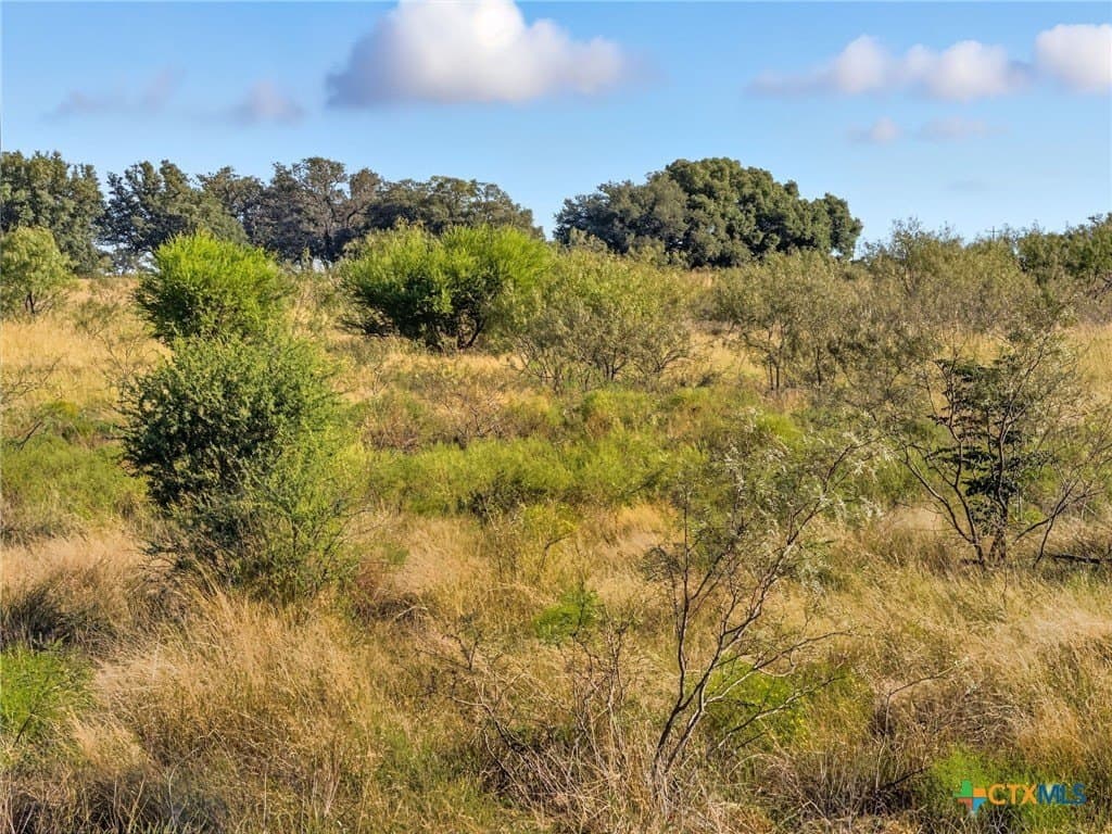 11.26 acres in Hamilton County - photo 3