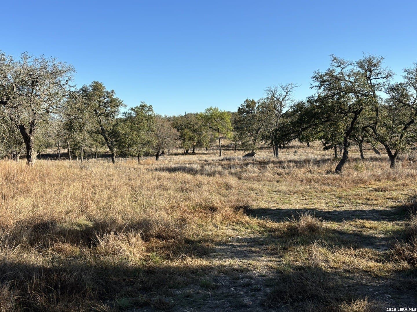 20.19 acres in Kendall County - photo 6