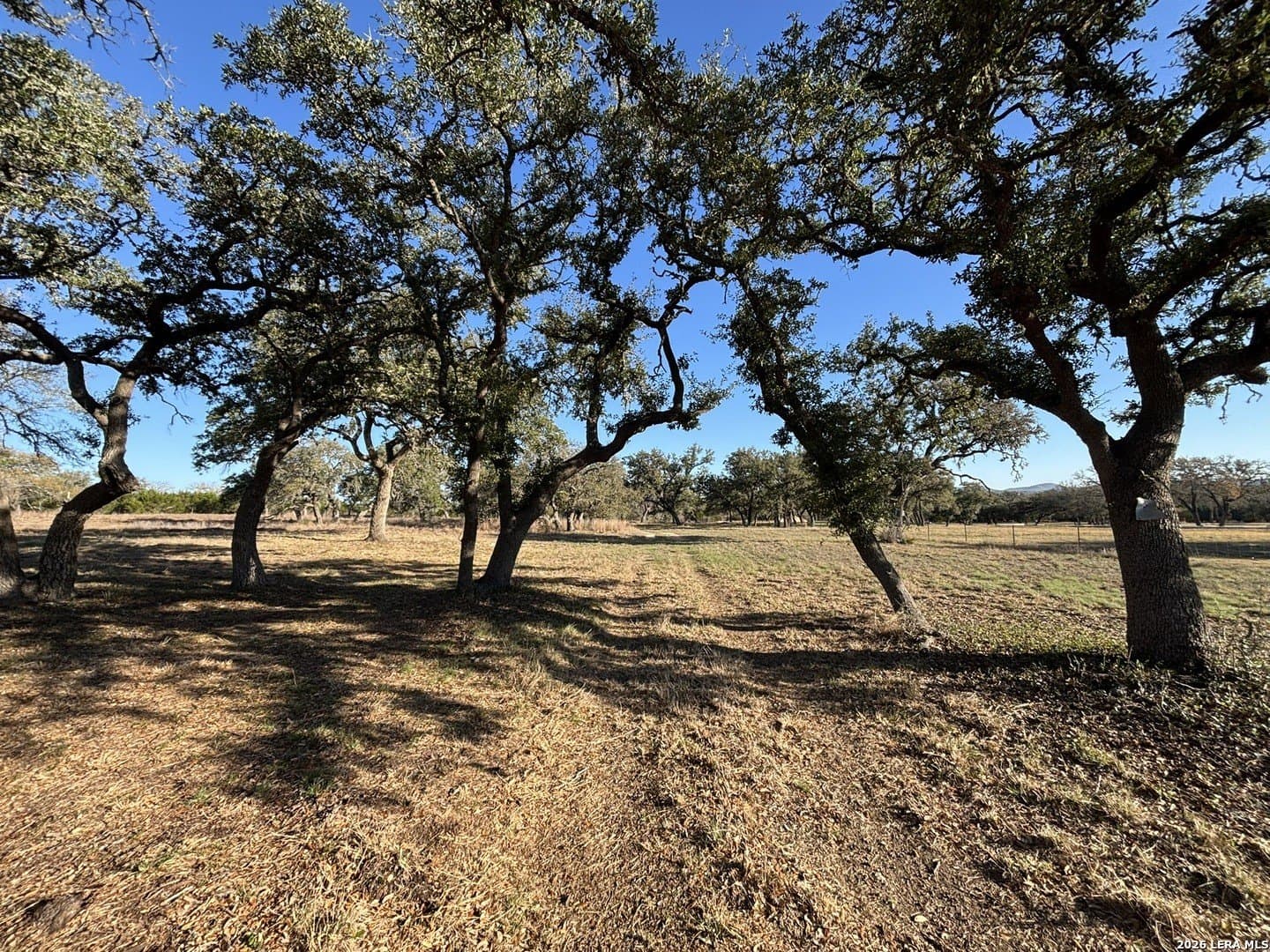 20.19 acres in Kendall County - photo 4