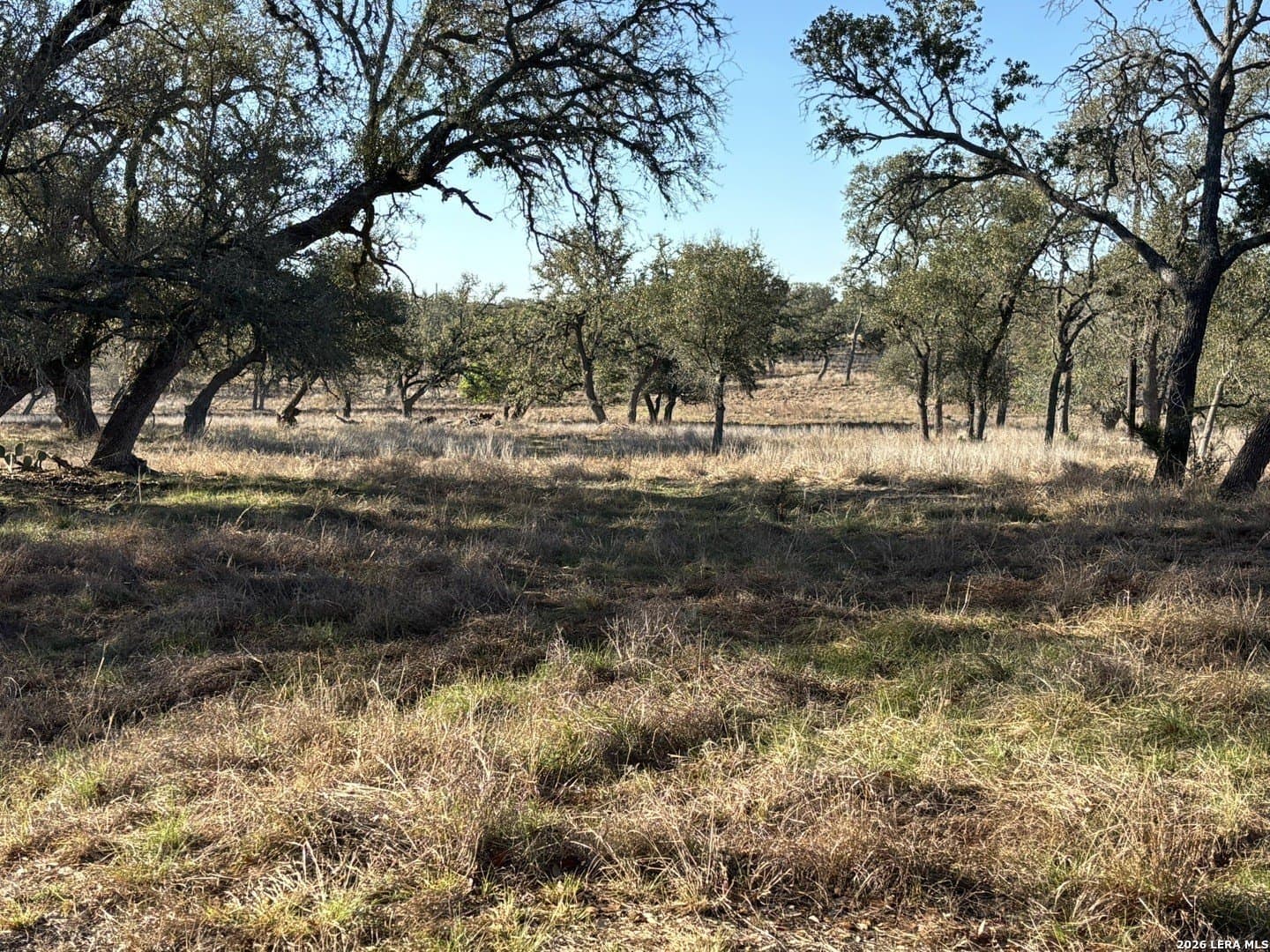 20.19 acres in Kendall County - photo 7