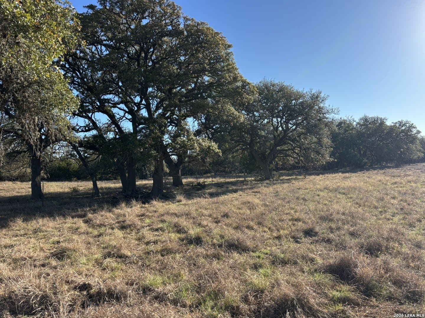 20.19 acres in Kendall County - photo 8