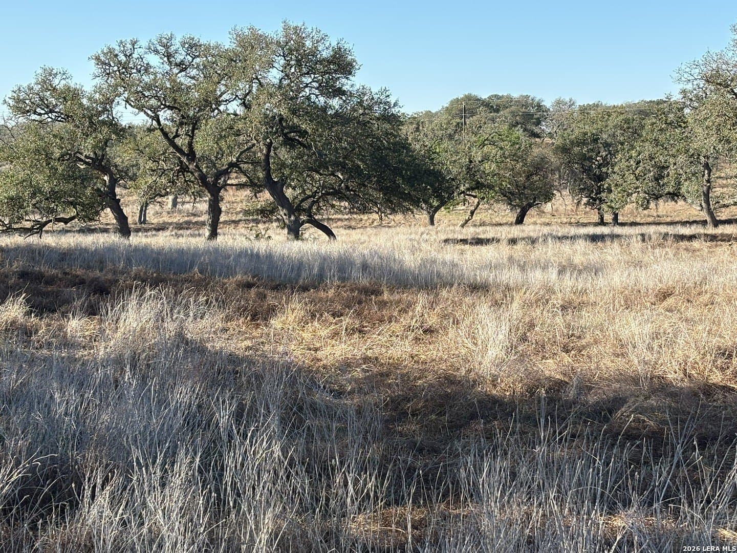 20.19 acres in Kendall County - photo 9