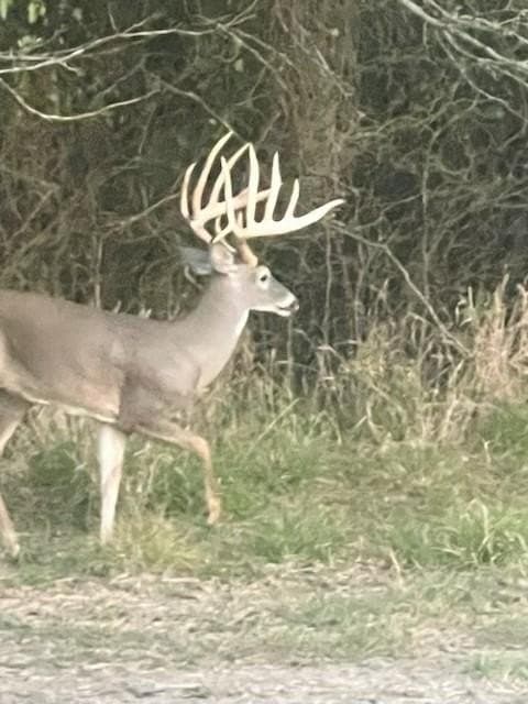 364.17 acres in Kaufman County - photo 5