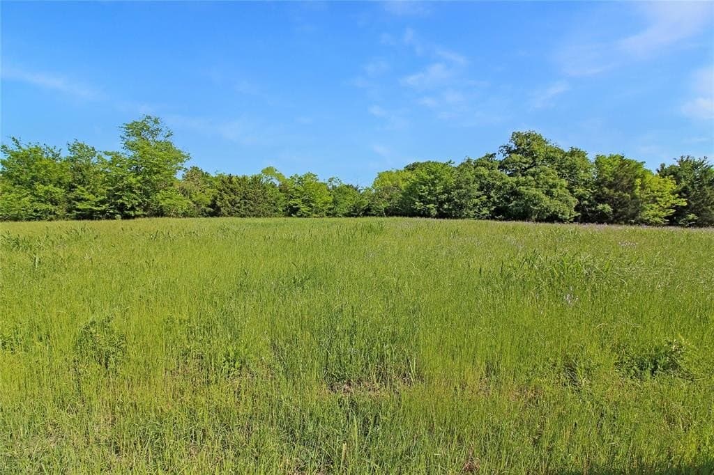 364.17 acres in Kaufman County - photo 12