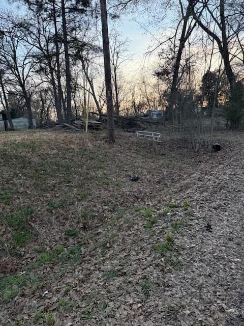 0.5 acres in Henderson County - photo 4