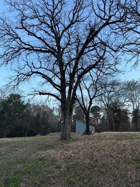 0.5 acres in Henderson County - photo 3