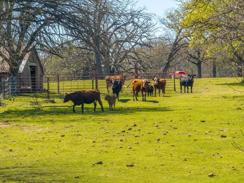 43.83 acres in Hunt County - photo 40