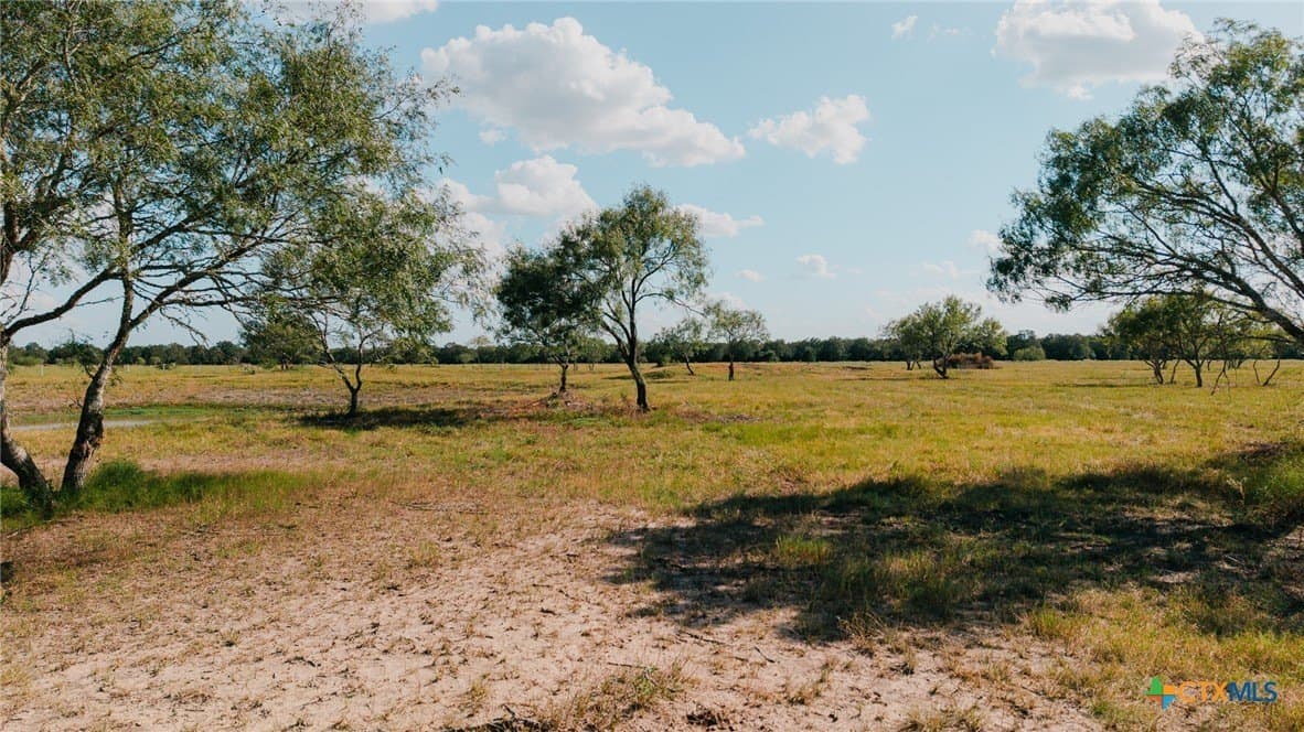 11 acres in Lavaca County - photo 25