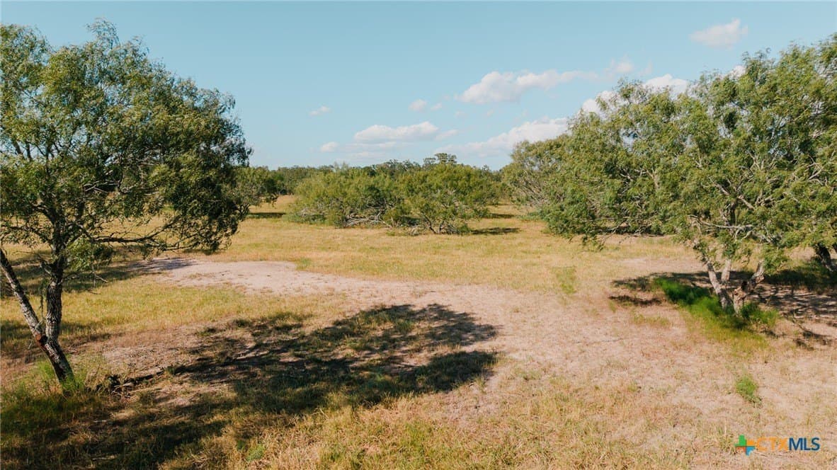 11 acres in Lavaca County - photo 33